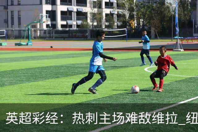 英超彩经：热刺主场难敌维拉 纽卡斯尔全取三分